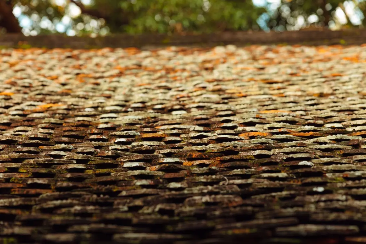 Roof Ventilation in West Palm Beach, FL